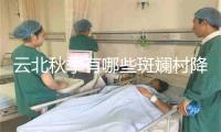 云北秋季有哪些斑斓村降开适挨卡玩耍