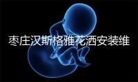 枣庄汉斯格雅花洒安装维修电话