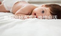 贵阳浪鲸水龙头维修电话号码